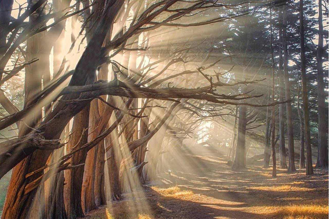 Montara Beach Mountain Escape Экстерьер фото